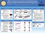 Best Presentation at SACNAS 2020